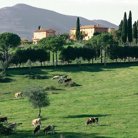 Poggiovalle Tenuta Italiana Belvedere  Esterno foto